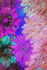 Composax18-gradientGlow-dFluxElectrosphere-FloralBanket-VP5Pencil-OnWoodSmooth-intense-RGES